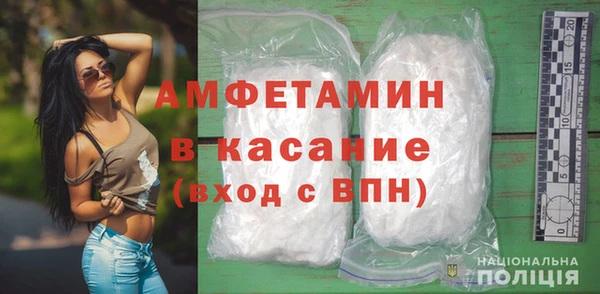 шишки Алексин