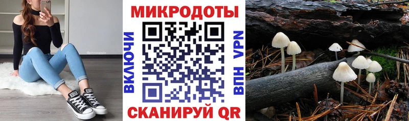 Псилоцибиновые грибы мухоморы  дарк нет клад  Боготол 